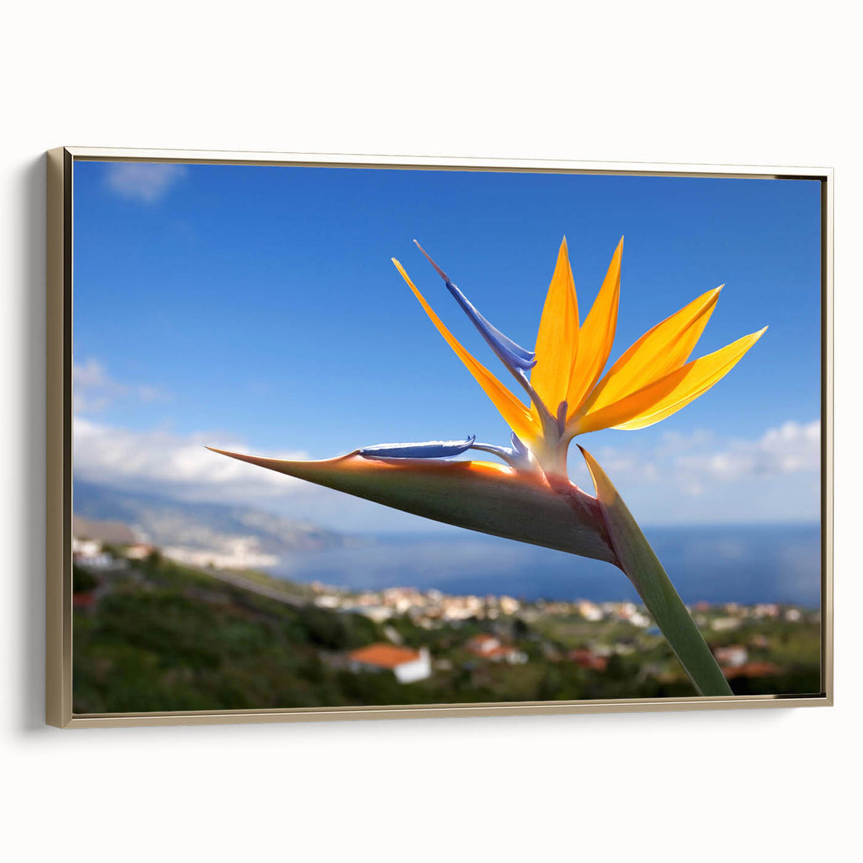 Framed canvas wall art showcasing a vibrant Bird of Paradise design, featuring rich gold accents and intricate floral details, ideal for home decor.