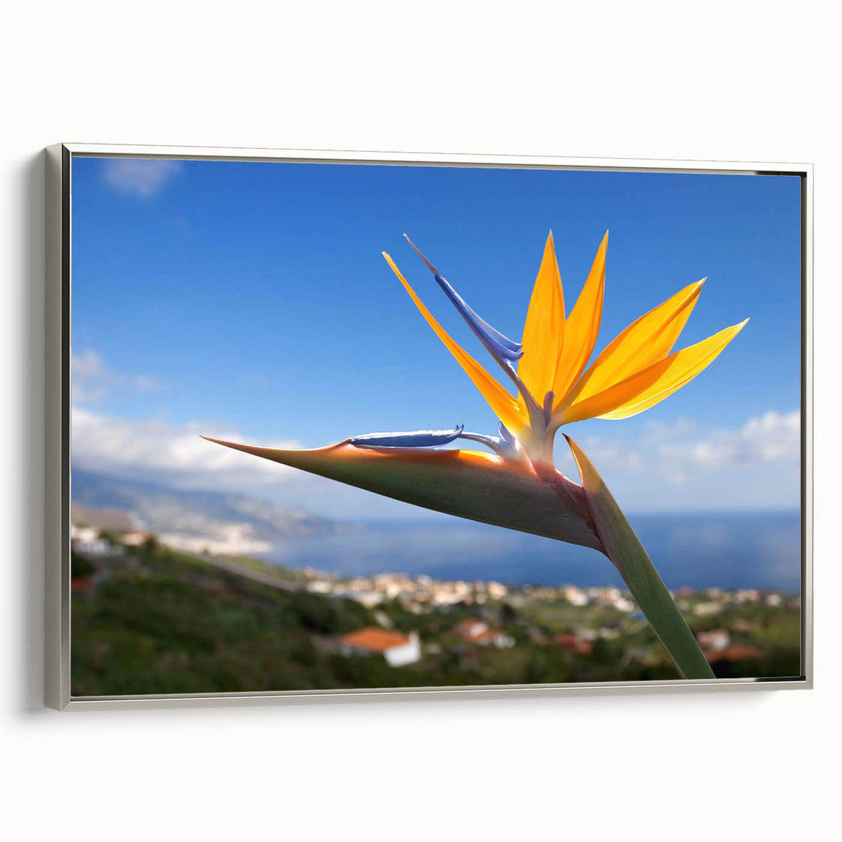 Framed canvas wall art featuring a vibrant Bird of Paradise design with intricate floral details, set in a sleek silver frame, ideal for modern home decor.
