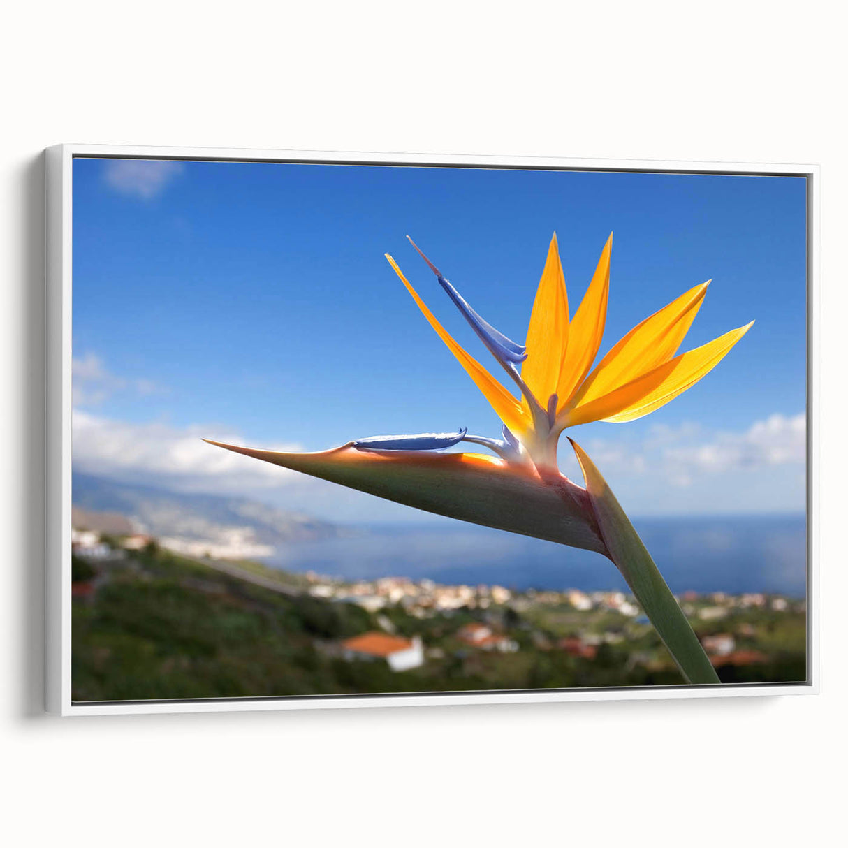 Framed canvas wall art showcasing a vibrant Bird of Paradise design, featuring lush green leaves and bold tropical colors, ideal for home decor enhancement.
