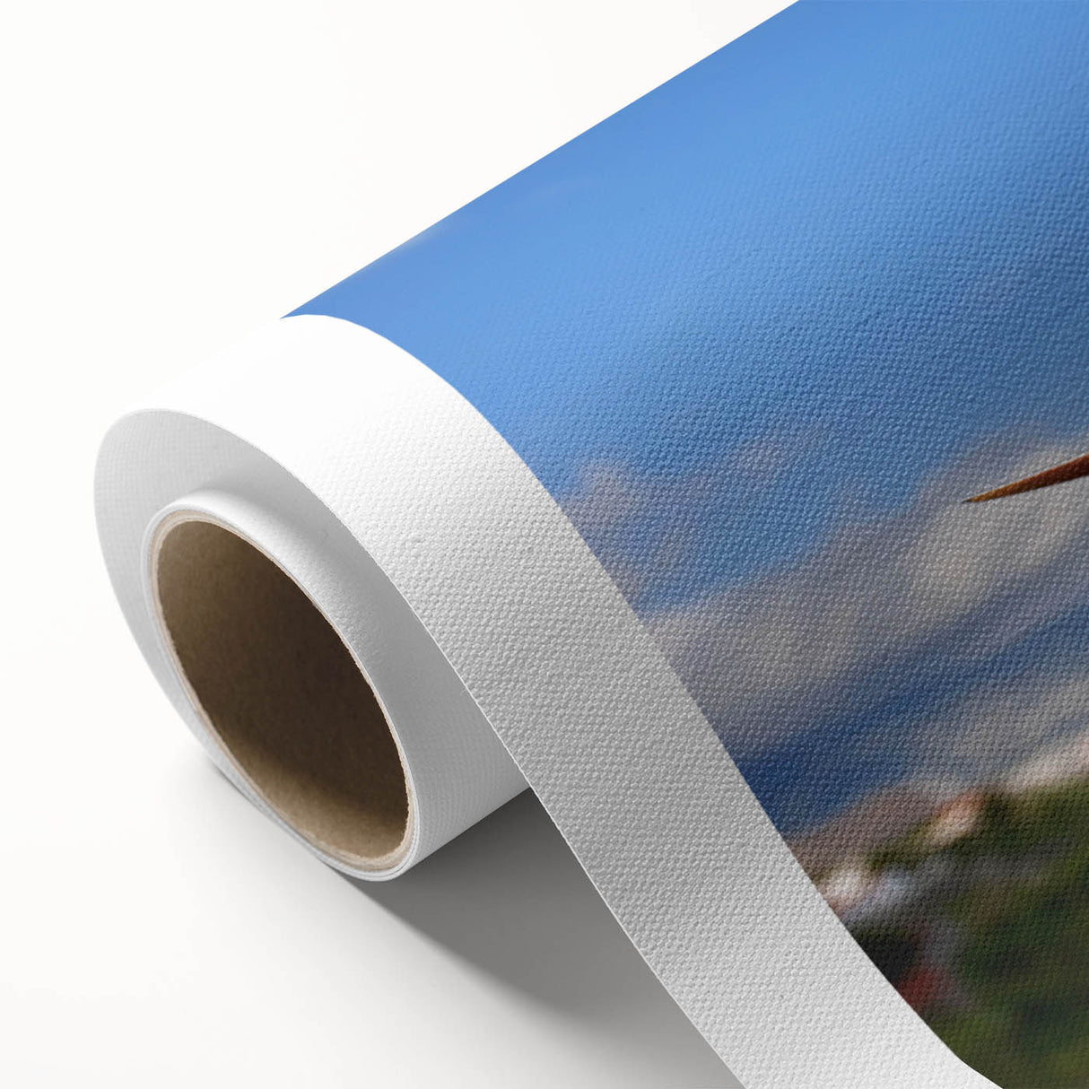 Botanical wall art featuring a vibrant Bird of Paradise design on rolled canvas, showcasing vivid colors and intricate floral details, perfect for home decor.