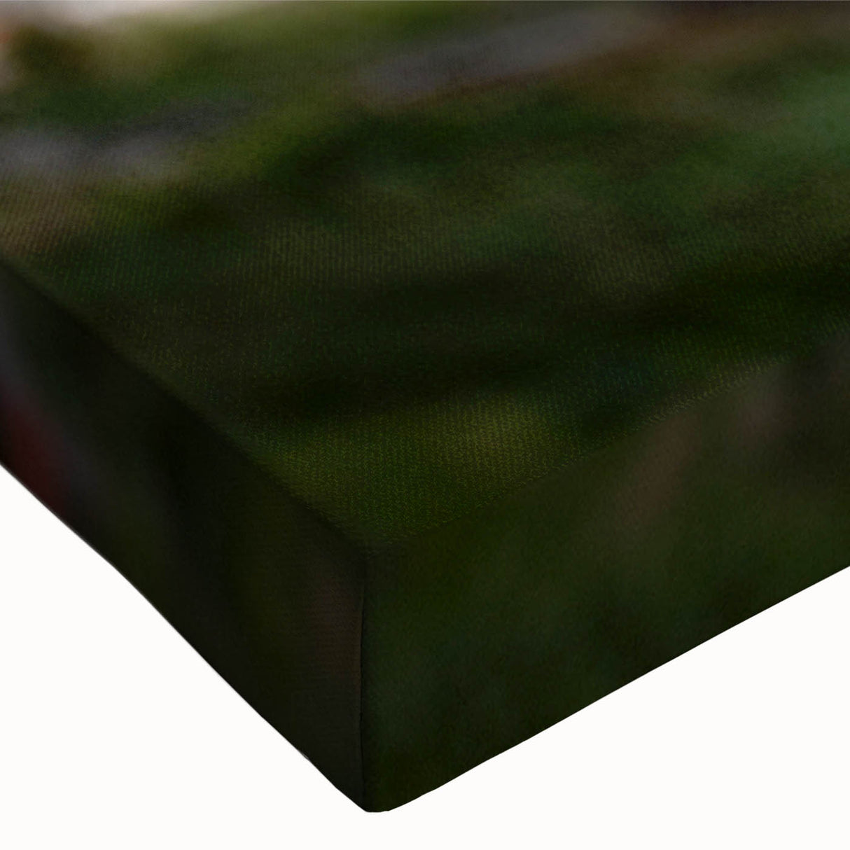 Close-up of a vibrant Bird of Paradise wall art canvas showcasing intricate botanical details in rich greens and yellows, perfect for home decor and nature enthusiasts.