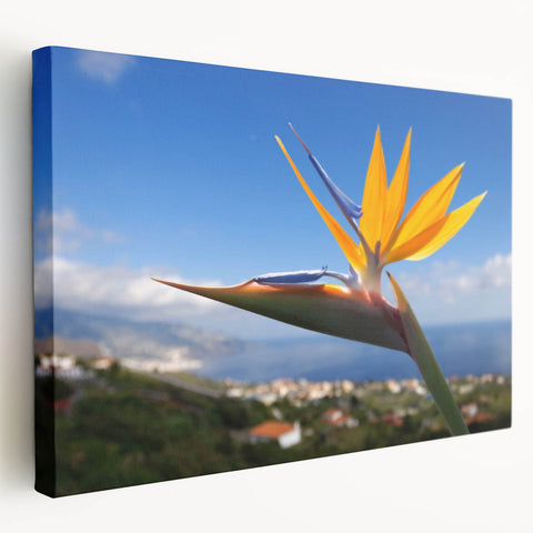 Stretched canvas wall art showcasing a vibrant Bird of Paradise floral design, featuring rich colors and intricate details, perfect for home decor enhancement.