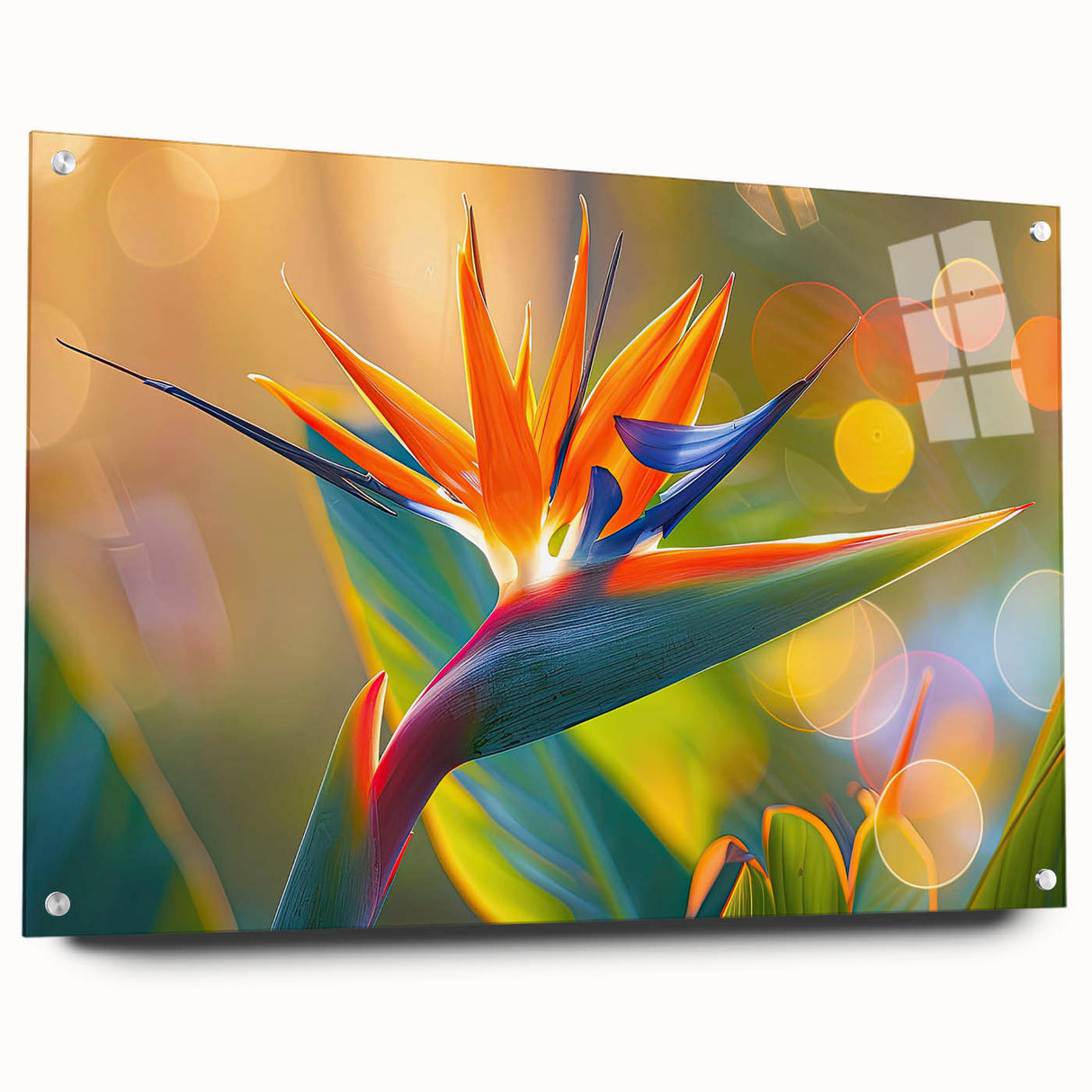 Acrylic glass wall art featuring a vibrant Bird of Paradise floral design, showcasing vivid colors and intricate details, elegantly displayed with decorative pins.