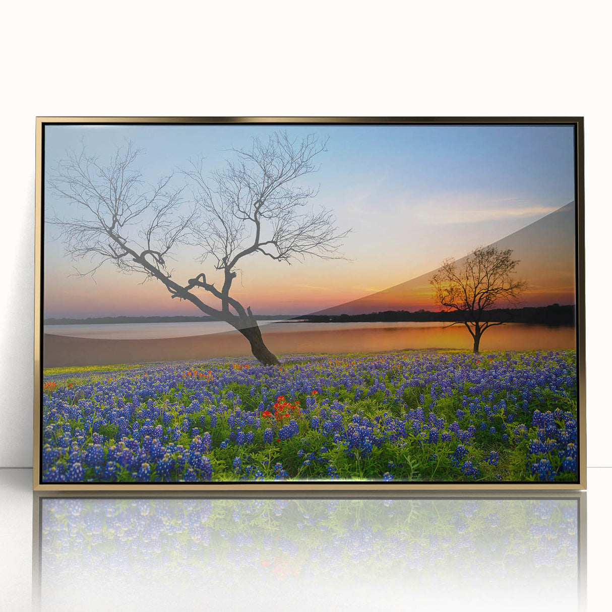Framed acrylic wall art featuring a vibrant bluebonnet botanical design with a gold frame, showcasing the intricate details of the flowers against a soft background. Perfect for adding a touch of nature-inspired elegance to home decor.