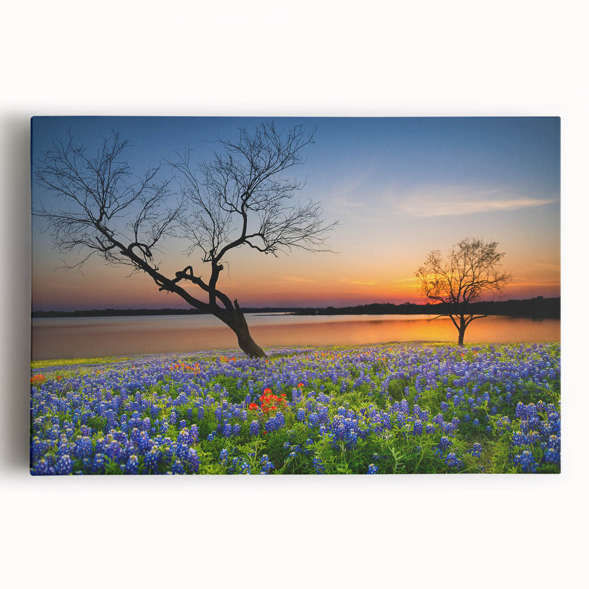 Bluebonnet botanical wall art featuring vibrant blue flowers on a stretched canvas, perfect for home decor. Ideal for nature lovers and floral enthusiasts. This design adds a touch of elegance and color to any room.