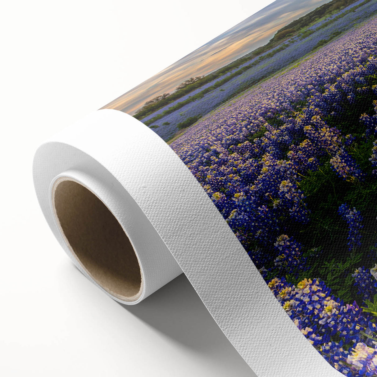 Bluebonnet botanical wall art print on rolled canvas, showcasing vibrant blue and green hues, perfect for home decor or nature-themed settings.