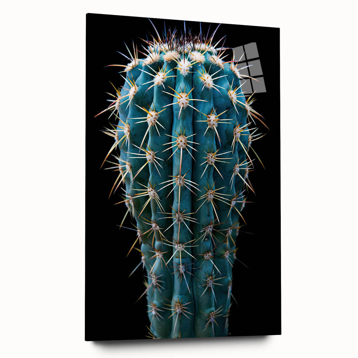 Acrylic and glass wall art piece showcasing a vibrant cactus botanical design, elegantly displayed from a side view, perfect for modern home decor.