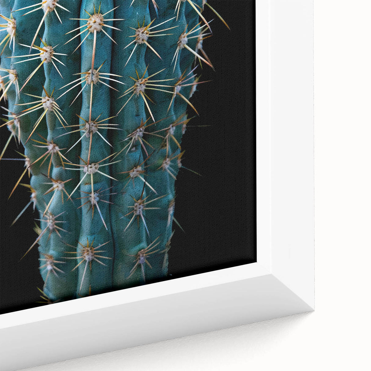 Framed canvas wall art featuring a detailed botanical design of cacti, showcasing vibrant greens and intricate textures, perfect for home decor enthusiasts.