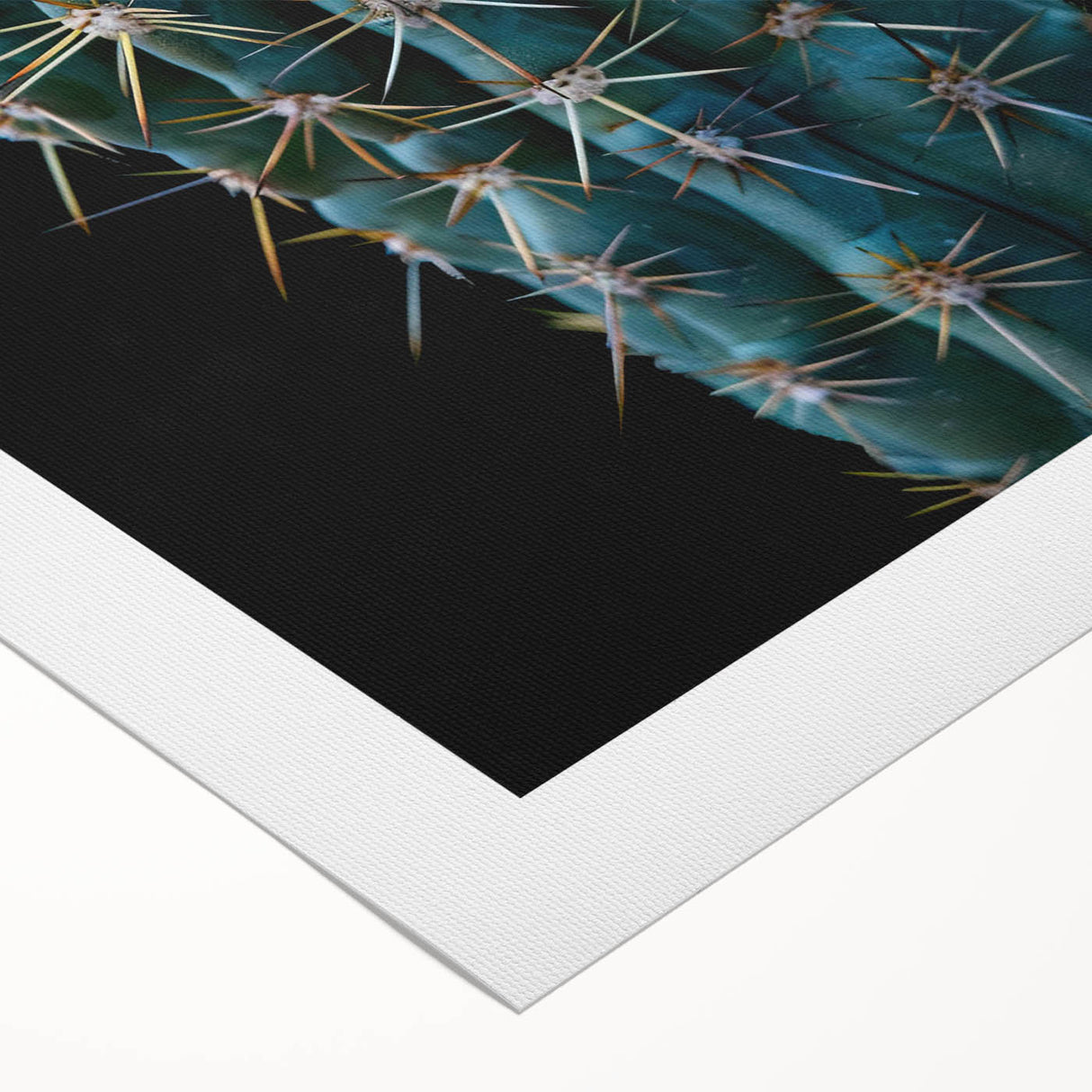 Botanical wall art design showcasing vibrant cacti in various colors on a rolled canvas, perfect for modern home decor, enhancing any artistic space.