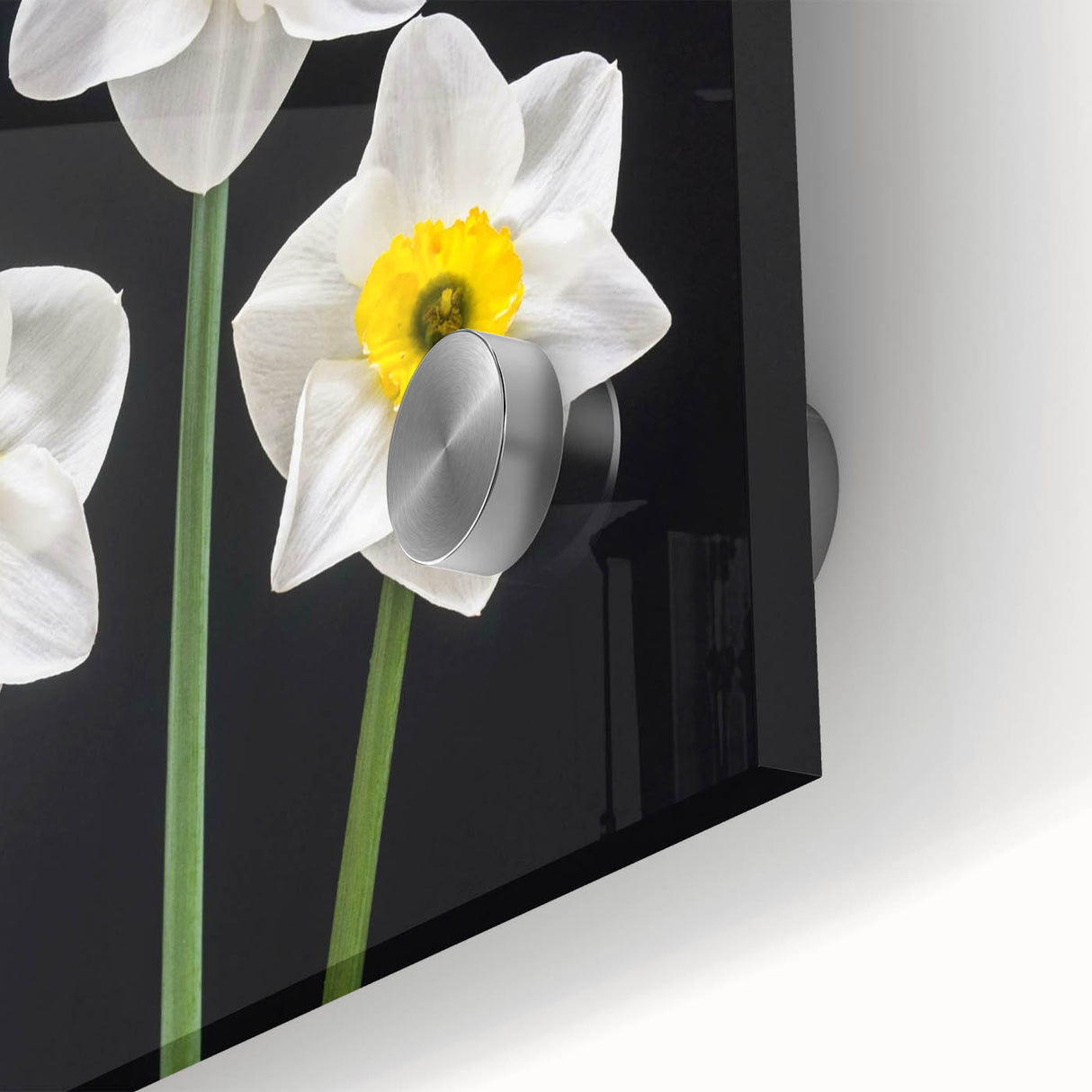 Close-up of a vibrant botanical wall art design featuring daffodils, showcasing intricate details and colors, perfect for home decor enhancement.