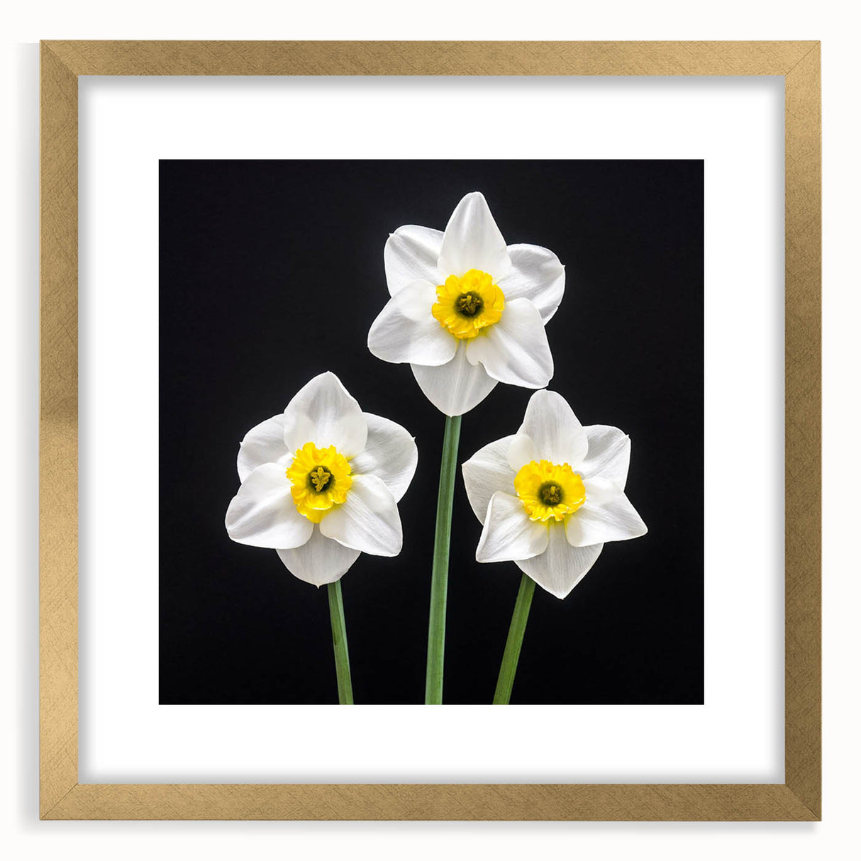Elegant framed botanical wall art featuring a gold mat and daffodil design, perfect for brightening interiors with a touch of nature and sophistication.