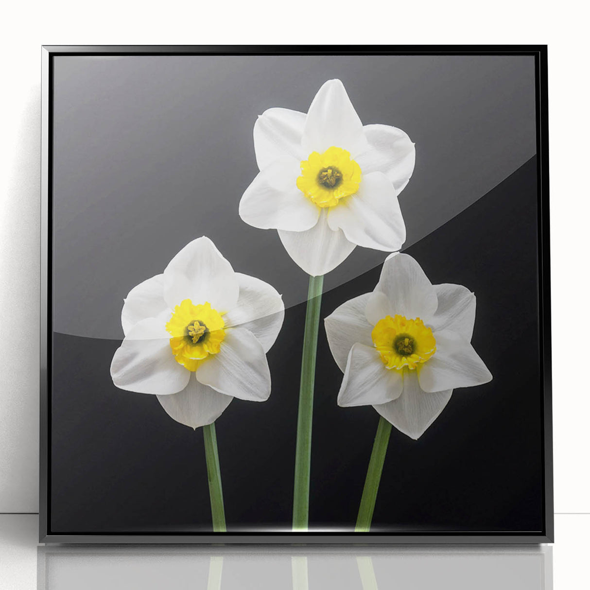 Framed wall art featuring a botanical design of vibrant yellow daffodils against a sleek black background, showcasing elegance and nature-inspired decor for modern interiors.