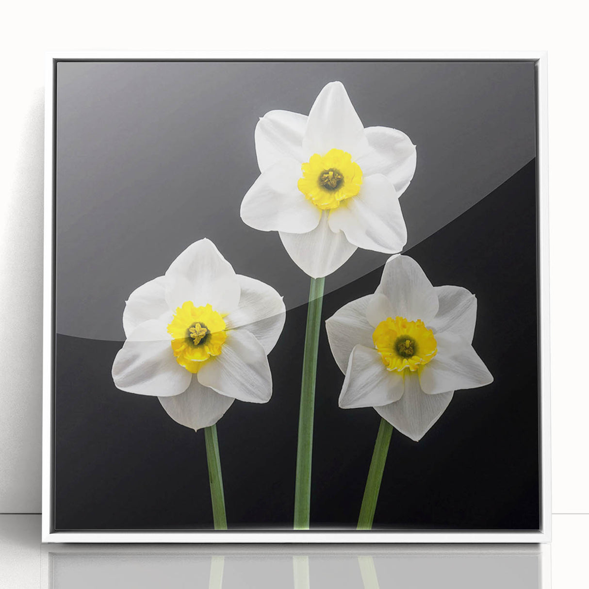 Framed wall art showcasing a botanical daffodil design with vibrant yellow flowers and green leaves, elegantly displayed in an acrylic frame, perfect for home decor.