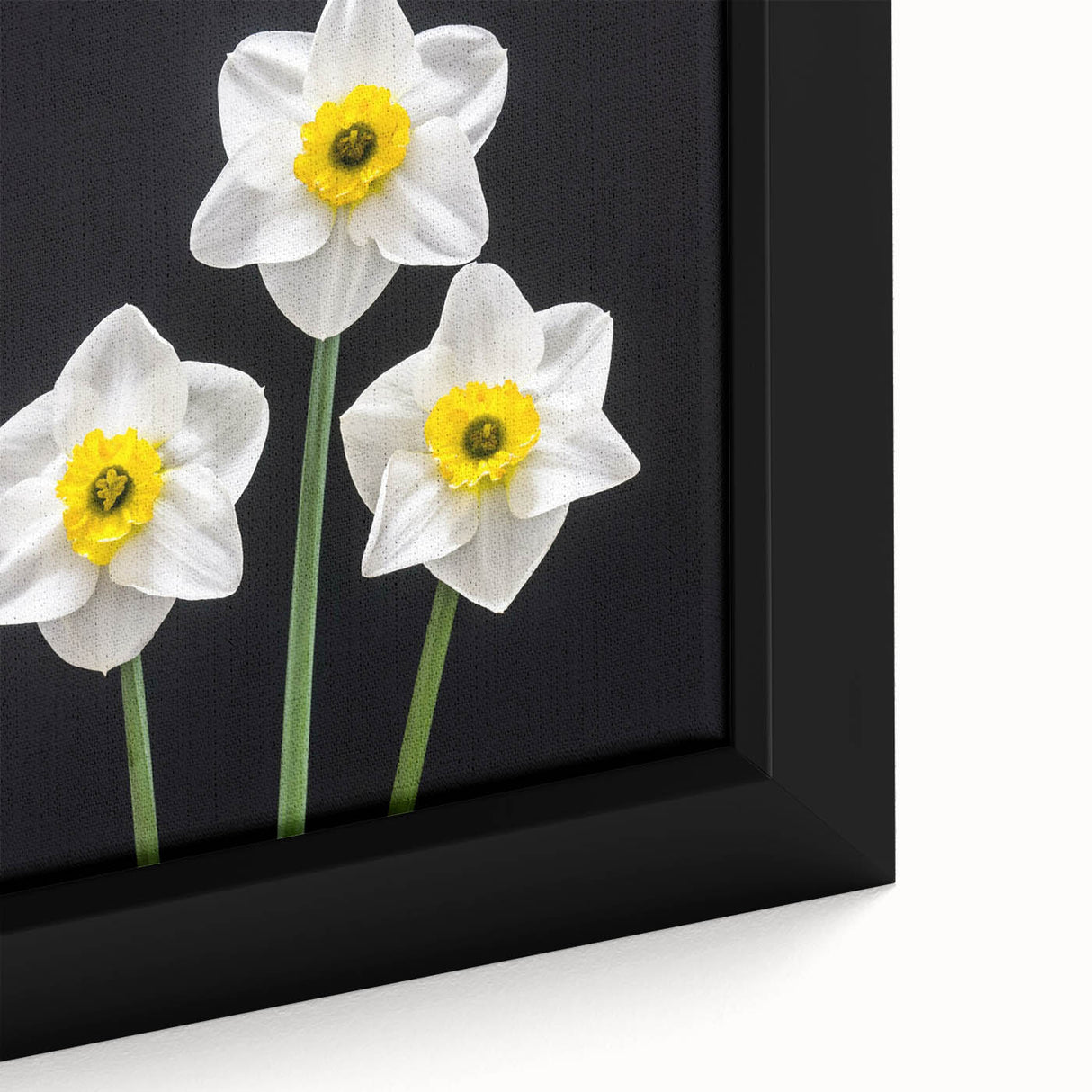 Close-up of a framed daffodil botanical wall art piece, showcasing vibrant yellow flowers with intricate details against a soft beige background, perfect for home decor.