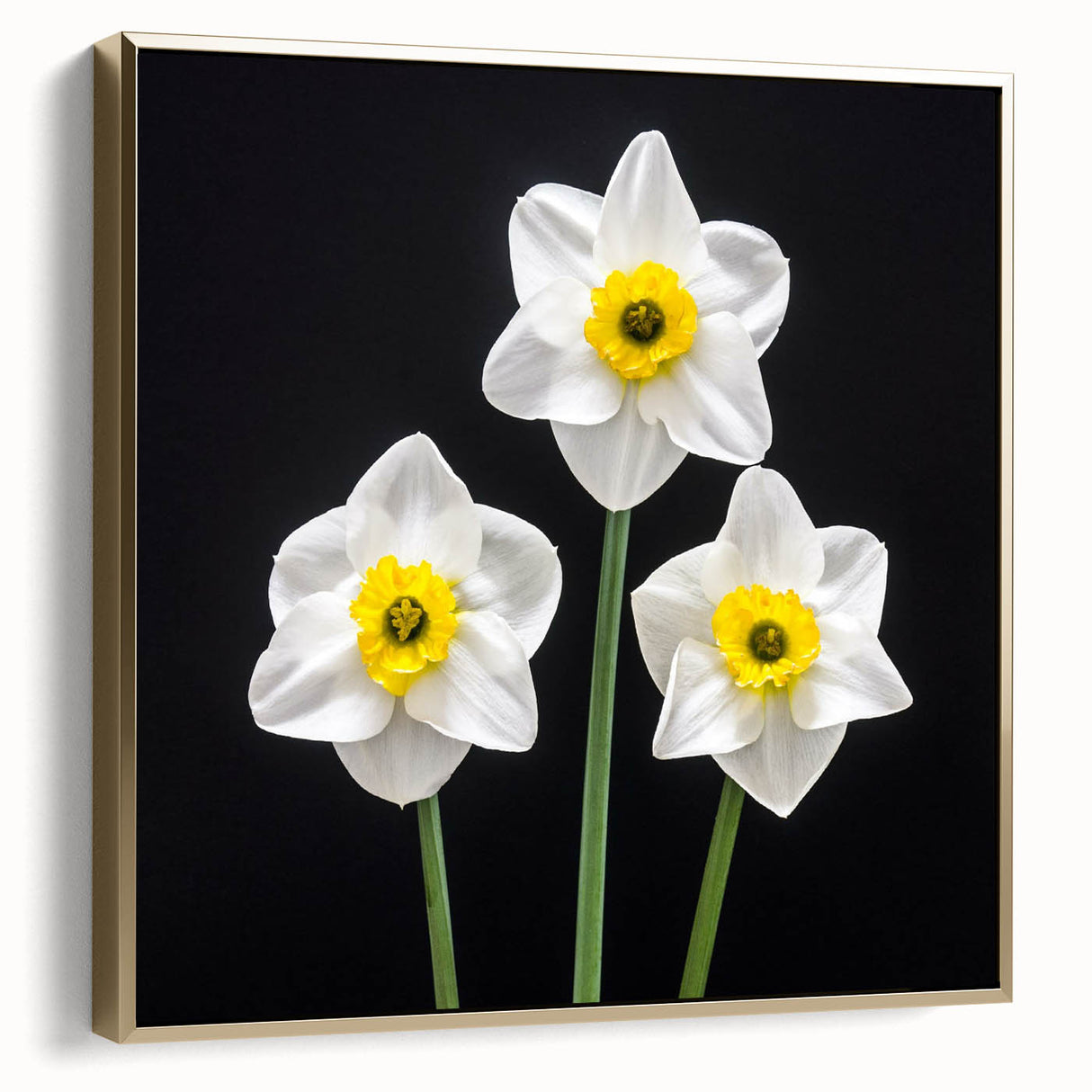Framed wall art featuring a botanical daffodil design in silver and gold colors, showcasing intricate floral details against a textured canvas background. Ideal for home décor.