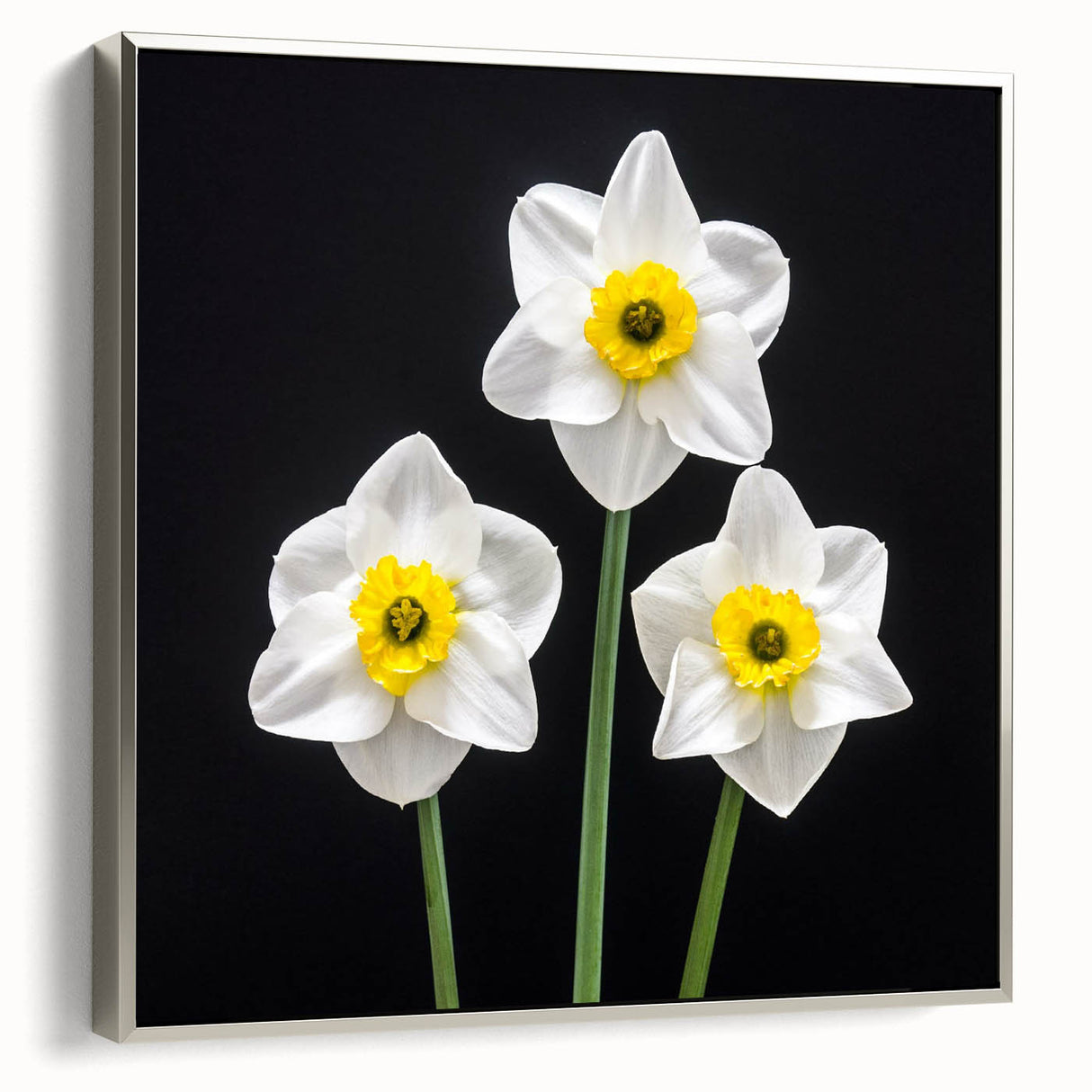 Framed canvas wall art displaying a botanical daffodil design, featuring silver accents and a textured surface, ideal for enhancing home decor aesthetics.