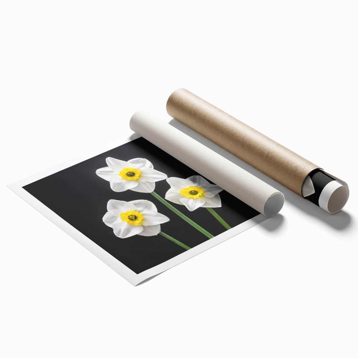 Vibrant botanical wall art print featuring daffodils in a soft, pastel color palette, rolled for easy framing, perfect for home or office decor.