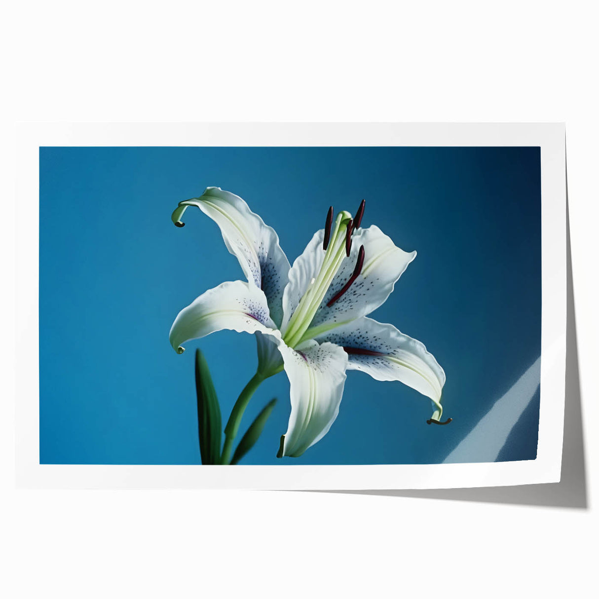 Bright yellow daffodil botanical wall art print, beautifully rolled for easy framing, showcasing intricate floral details against a soft white background.