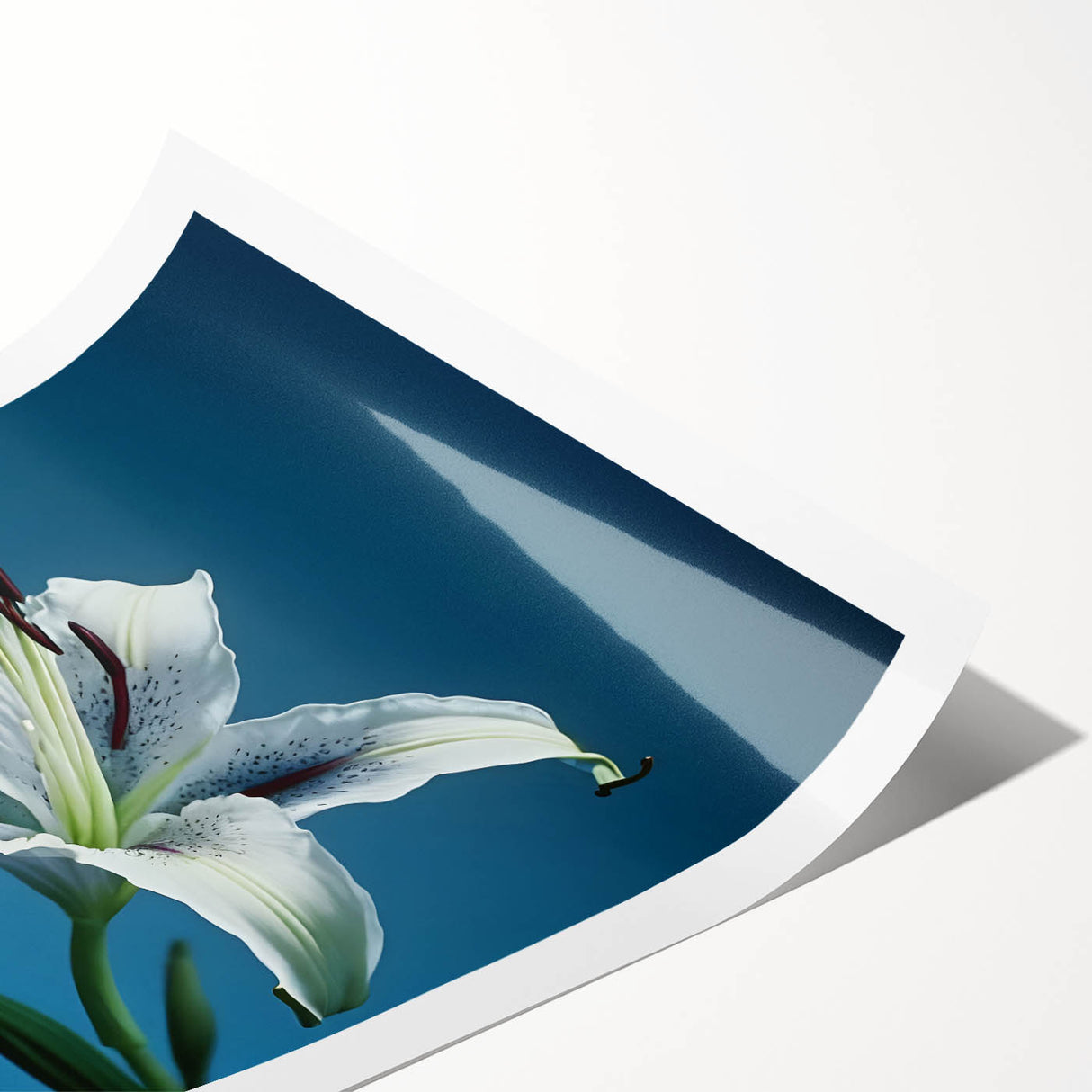 Daffodil botanical print showcasing vibrant yellow flowers with delicate green leaves, rolled and ready for framing, perfect for brightening any home decor.