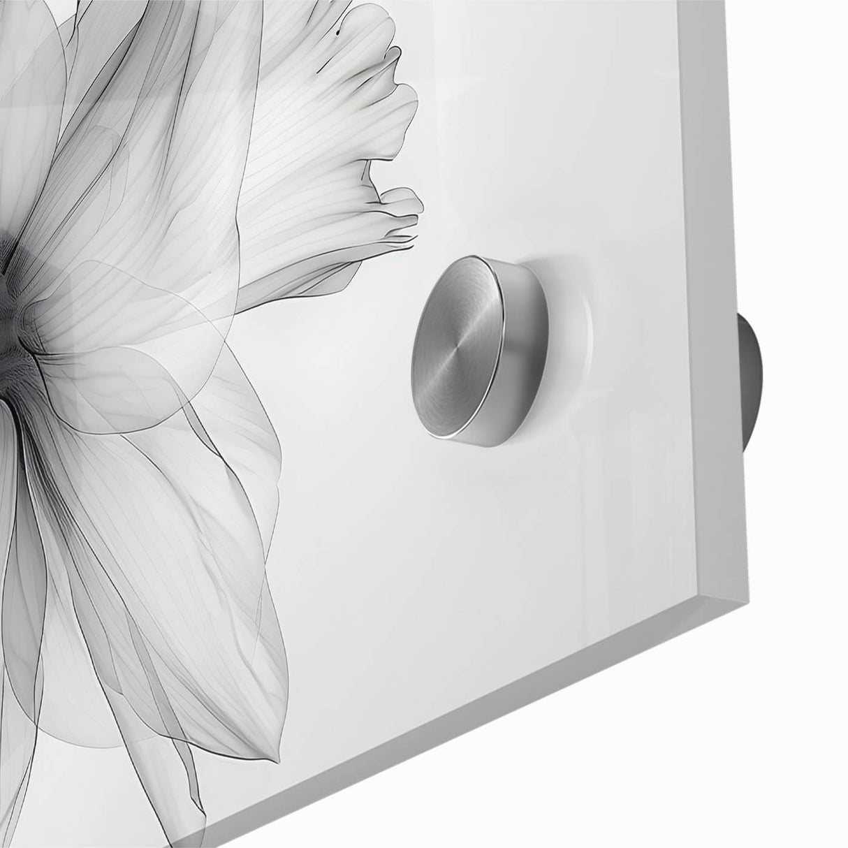 Close-up of a vibrant botanical wall art piece featuring detailed daffodil illustrations on acrylic glass, highlighting the intricate textures and colors of the flowers. Perfect for adding a touch of nature-inspired elegance to any room.