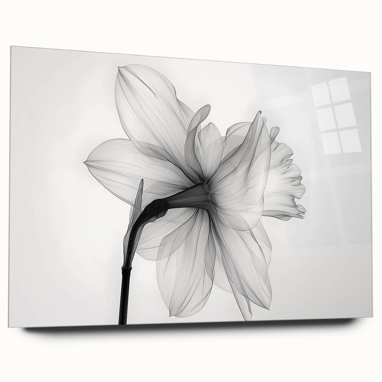 Elegant wall art featuring a botanical daffodil design, displayed in a sleek acrylic glass frame, showcasing vibrant yellow blooms and lush green foliage. Perfect for brightening up any room or office space.