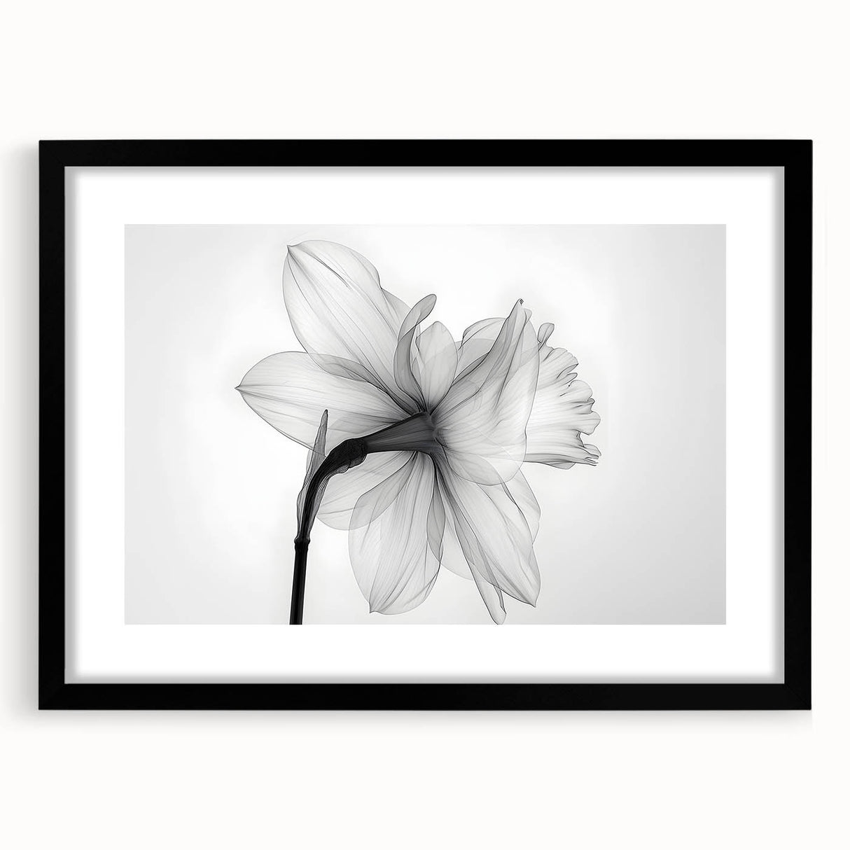 Framed botanical wall art featuring a vibrant daffodil design with a black frame and mat, perfect for home decor, adding a touch of nature to any room.