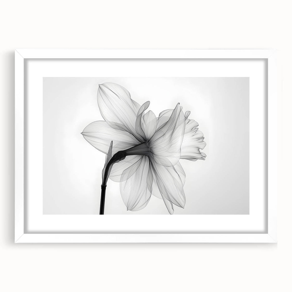 Botanical wall art featuring a daffodil design, framed with a white mat, showcasing vibrant floral details and elegant presentation for home decor. Ideal for nature lovers.