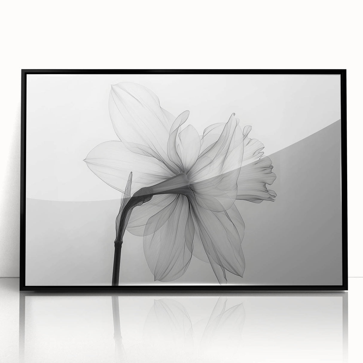 Framed black acrylic wall art featuring a botanical daffodil design, showcasing vibrant yellow flowers against a minimalist background, ideal for home decor.
