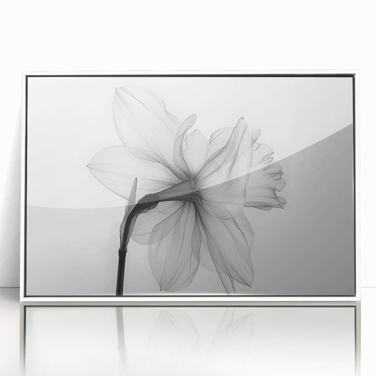 Framed acrylic wall art featuring a vibrant botanical daffodil design, showcasing delicate yellow and white flowers against a clean white background, perfect for home decor.