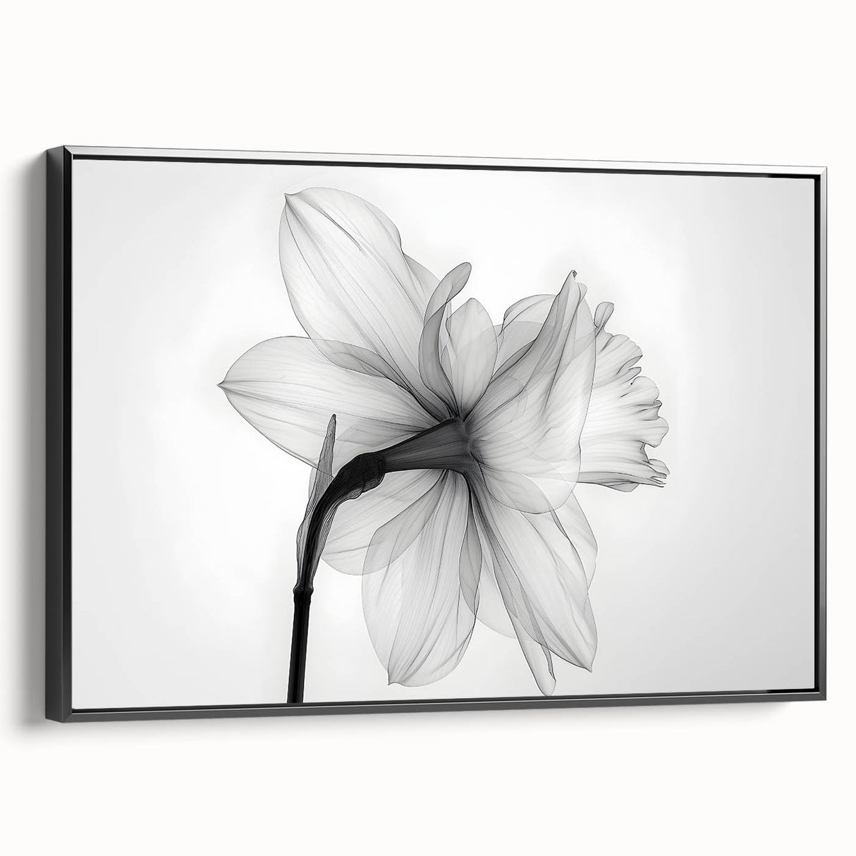 Framed canvas wall art showcasing a botanical daffodil design in vibrant colors, set against a sleek black frame, ideal for home decor and nature lovers.