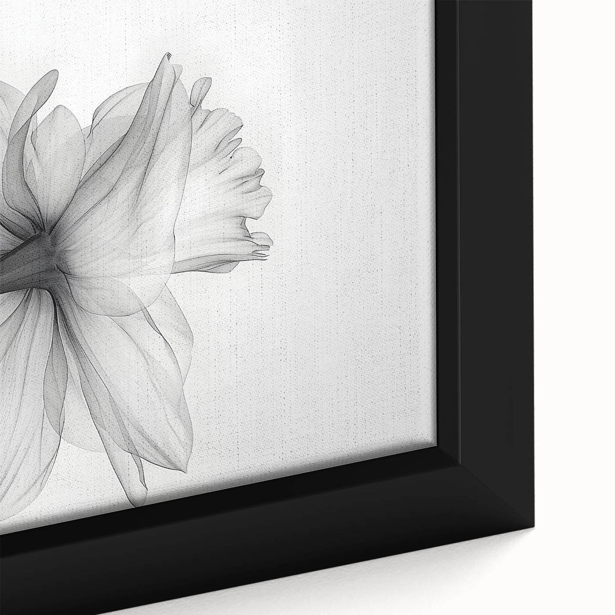 Close-up of a framed canvas featuring a vibrant botanical daffodil design, showcasing intricate details and vivid colors, perfect for home decor enhancement.