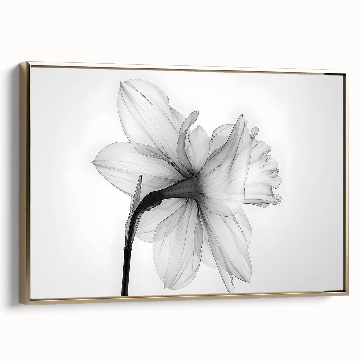 Framed canvas wall art showcasing a botanical daffodil design, featuring vibrant yellow flowers and green foliage, elegantly set against a gold frame, perfect for home decor.