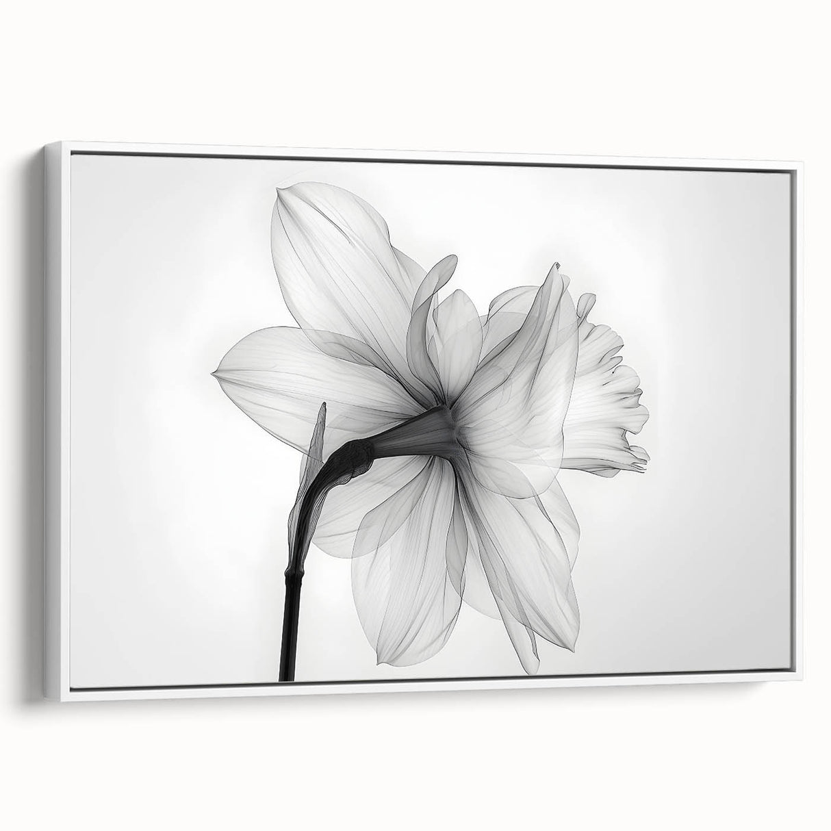 Framed canvas wall art showcasing a botanical daffodil design in vibrant yellow and green hues, displayed from a white side view, perfect for home decor.