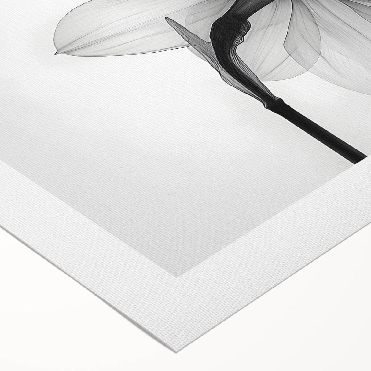 Brightly colored daffodil botanical wall art design on rolled canvas, showcasing intricate floral details and vibrant hues, perfect for home decor enhancement.