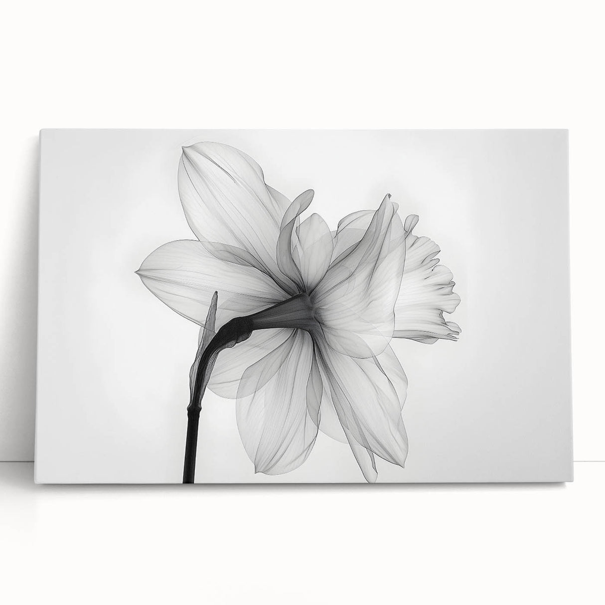 Botanical wall art featuring a delicate daffodil design on stretched canvas, leaning against a neutral wall, perfect for home decor enthusiasts seeking floral inspiration.