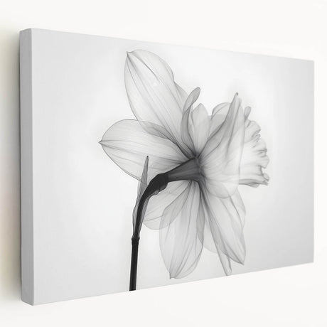 Stretched canvas featuring a vibrant botanical daffodil design, showcasing intricate floral details and rich colors, perfect for enhancing home decor.