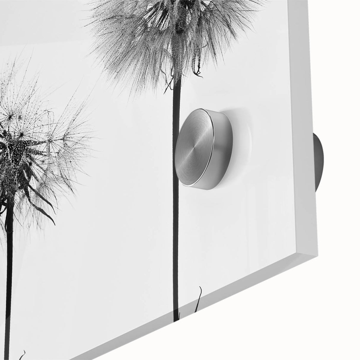 Close-up of a vibrant botanical wall art piece featuring a delicate dandelion design, showcasing intricate details and soft colors on acrylic glass, perfect for home decor.