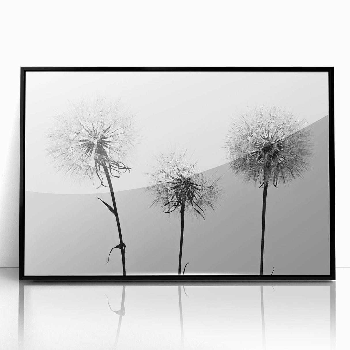 Framed botanical wall art featuring a stylish black acrylic design of dandelions, showcasing intricate details and natural elegance, perfect for home decor enhancement.