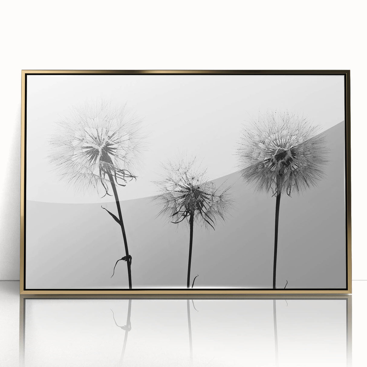 Framed acrylic wall art featuring a botanical dandelion design in gold, showcasing intricate details and a contemporary aesthetic, perfect for modern decor.