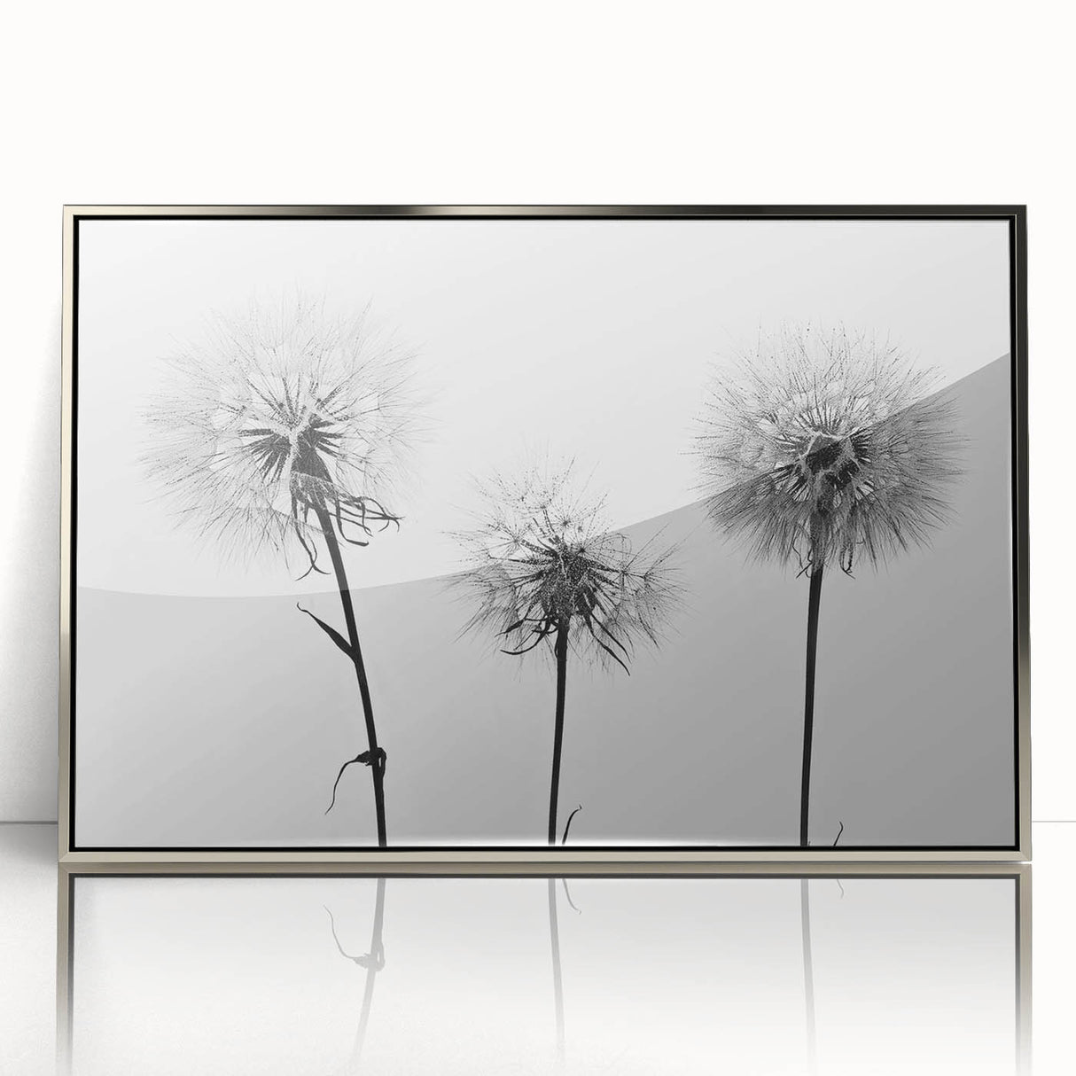 Framed wall art showcasing a botanical dandelion design in silver-acrylic frame, perfect for home decor, adding a touch of nature-inspired elegance to any room.