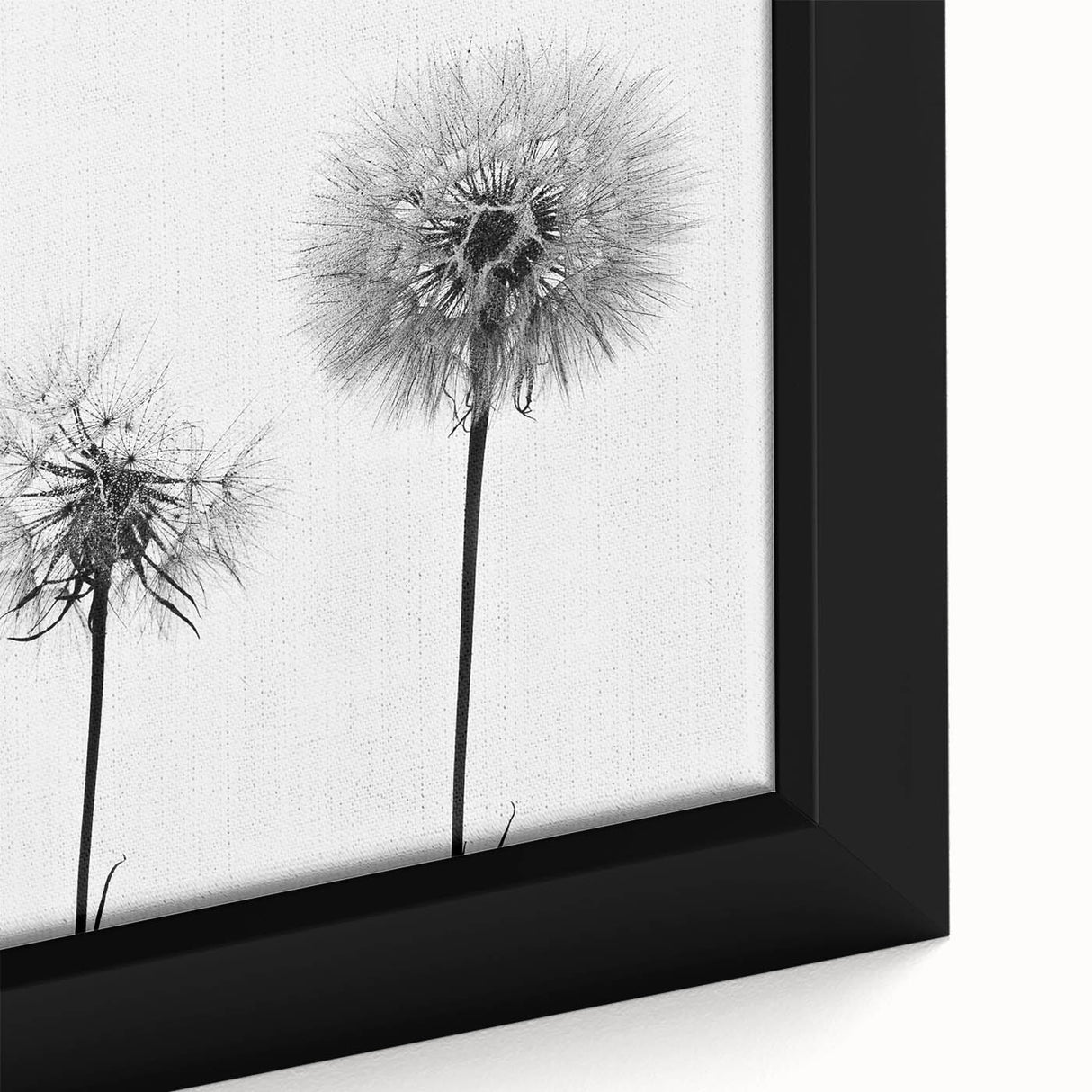 Close-up view of a framed botanical wall art piece featuring a detailed dandelion design in soft yellow and green tones, perfect for enhancing home decor.