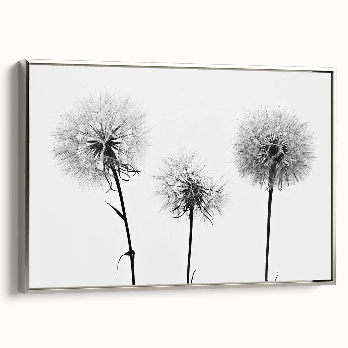 Framed wall art featuring a botanical dandelion design in silver, showcasing intricate details and a modern aesthetic, perfect for home décor enhancement.