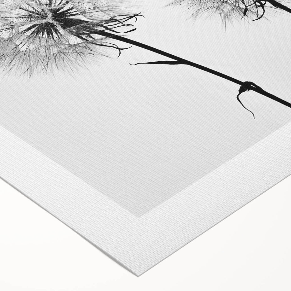 Rolled canvas featuring a botanical design of delicate dandelions, showcasing intricate details and soft color tones, perfect for enhancing any home decor aesthetic.