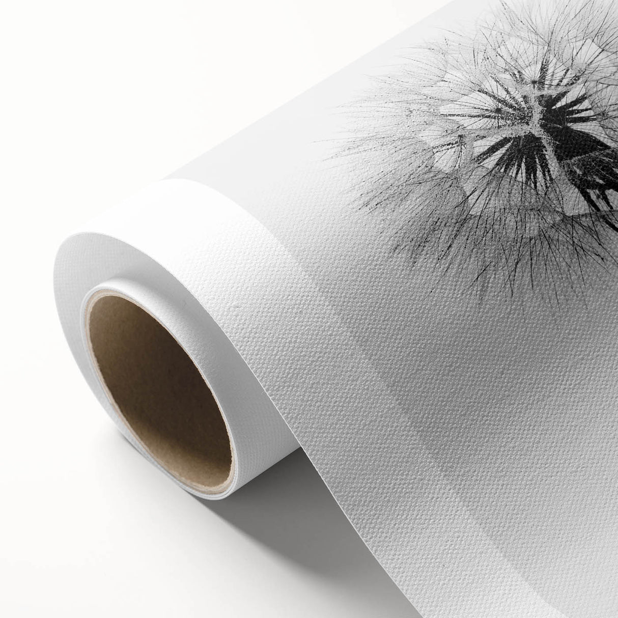 Botanical wall art featuring a detailed dandelion design on rolled canvas, showcasing intricate line work and soft color tones, perfect for home decor.