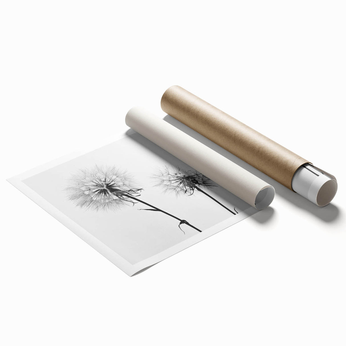 Botanical dandelion wall art print showcasing delicate yellow flowers and intricate details on a textured background, perfect for home decor or gifts.