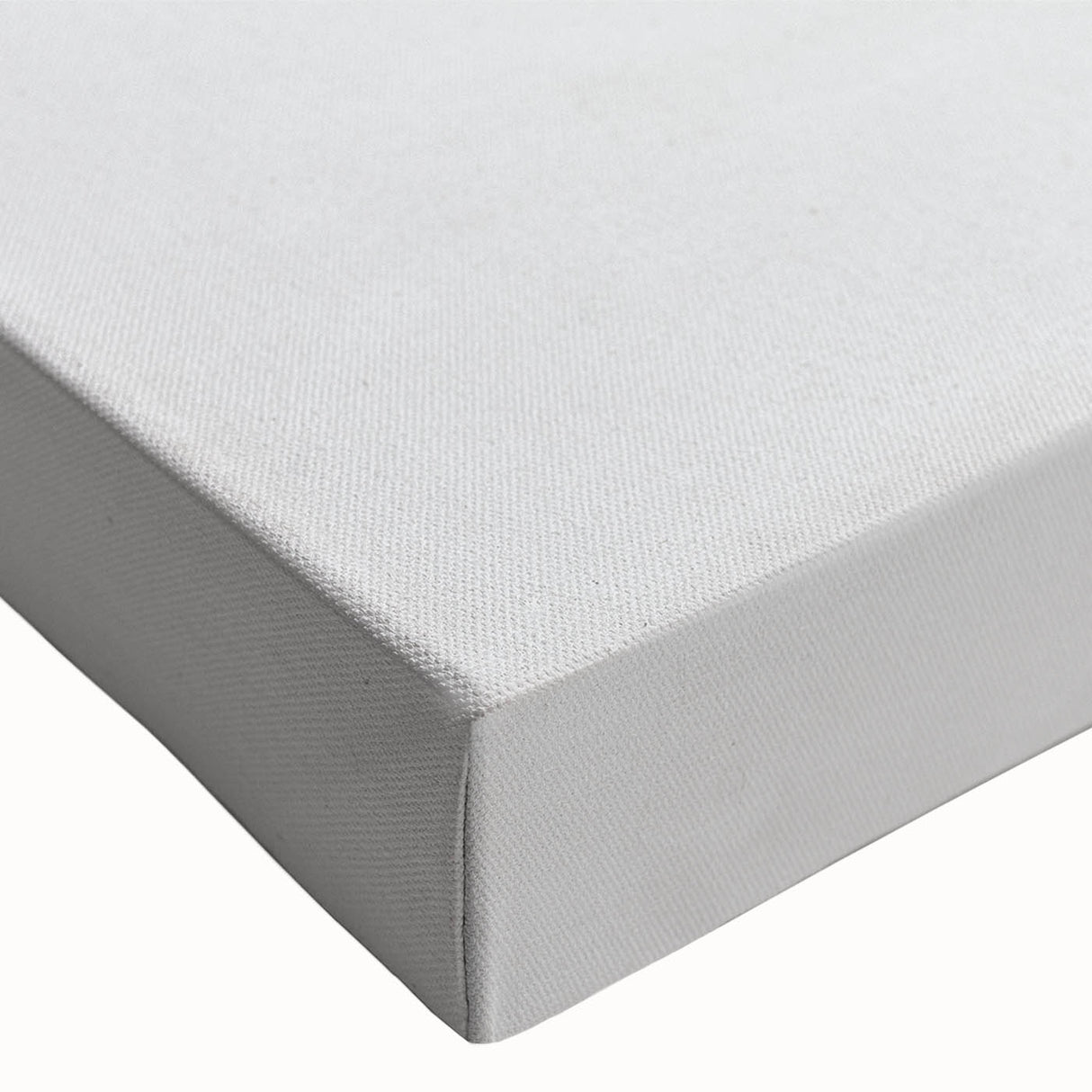 Close-up of a vibrant dandelion botanical wall art canvas, showcasing intricate details and textures, ideal for home decor and nature enthusiasts.