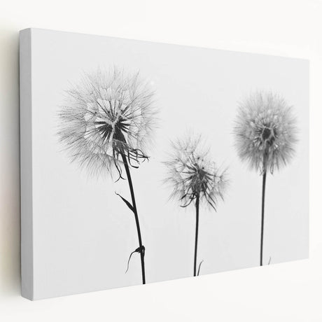 Stretched canvas wall art showcasing a vibrant botanical dandelion design, featuring intricate details and a textured finish, perfect for home decor.
