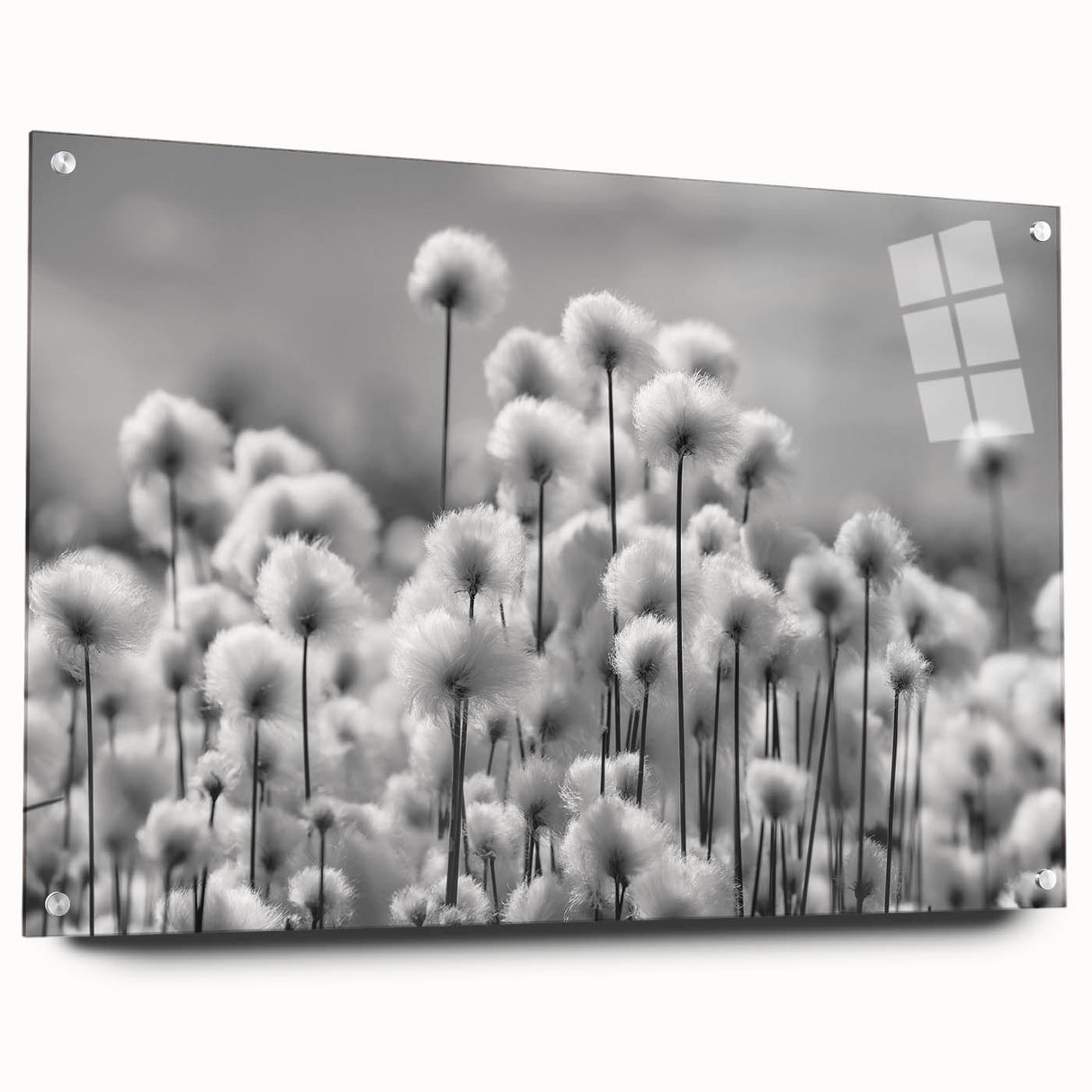 Acrylic glass wall art piece featuring a detailed botanical dandelion design, showcasing vibrant yellow and green colors, presented from a side view with decorative pins.