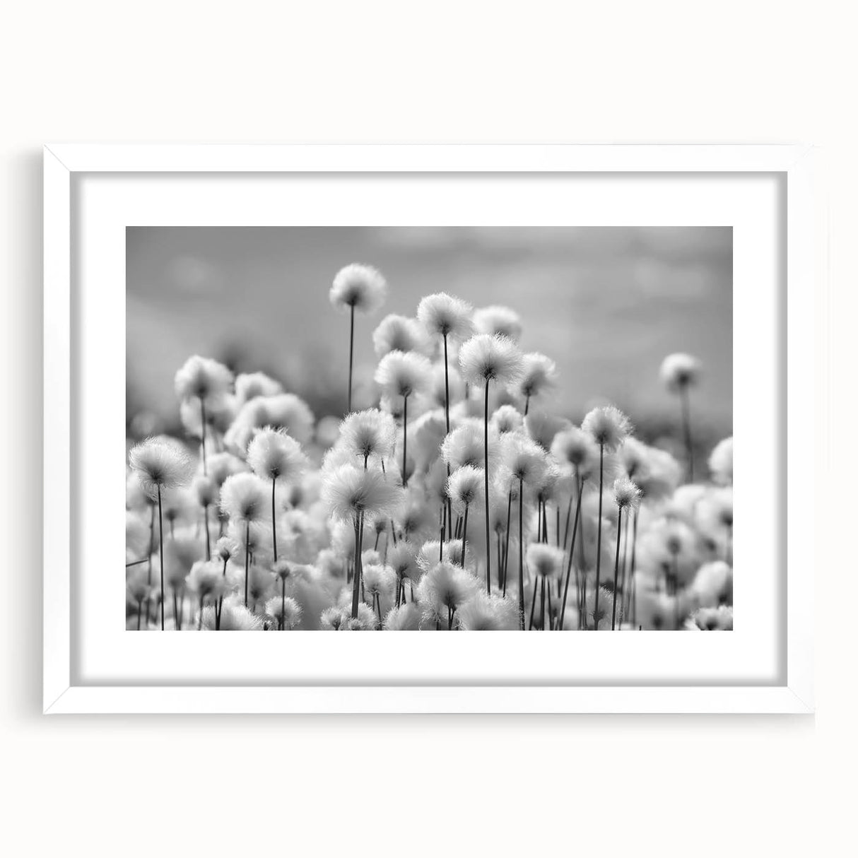 Botanical wall art featuring a delicate dandelion design in a white frame with a mat, perfect for home decor. Ideal for nature lovers, enhancing any interior space.