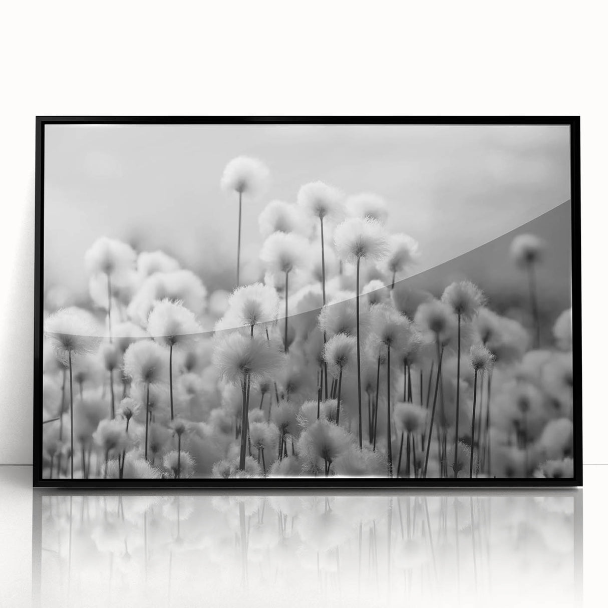 Framed black wall art showcasing a detailed botanical dandelion design, featuring intricate flower illustrations against a white background, ideal for home decor.